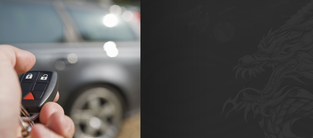 Automotive Security Systems